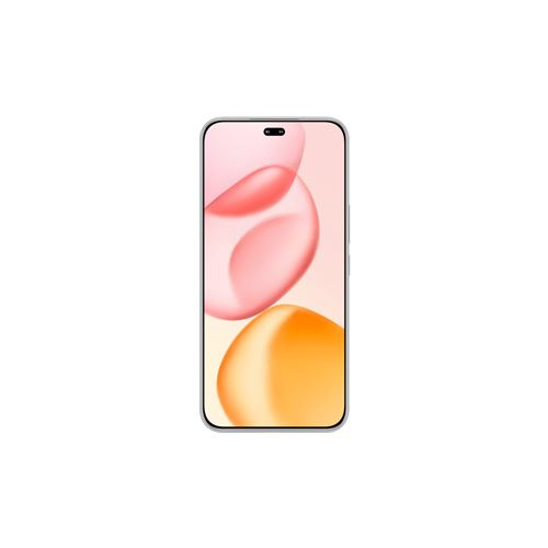 Honor 400 Pro 17 cm (6.7 ) MagicOS 9.0 5G 12 Go 512 Go 5300 mAh Gris