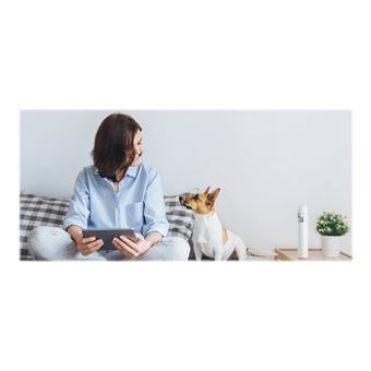 Aspirateur à main Xiaomi Mi Vacuum Cleaner Mini 30 AW Blanc