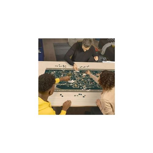 Ravensburger – Puzzle Harry Potter Arbre Généalogique – 2000 Pièces – Adulte Dès 14 Ans – Qualité Premium FSC