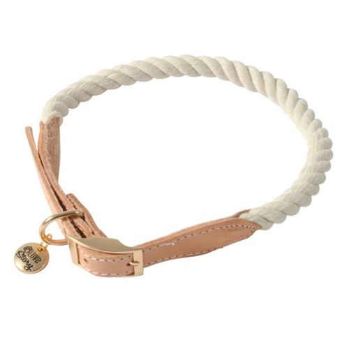 Comparer les prix de Collier Pour Chien Réglable City 43cm Écru