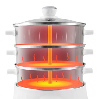 Achat cuit vapeur : le guide pratique pour choisir son cuiseur vapeur -  Côté Maison