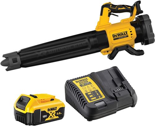 Aspirateurs de jardin Dewalt - souffleur brushless xr 18v 5ah li