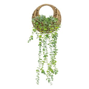 Atmosphera - Eucalyptus à suspendre avec pot naturel - H. 70 cm - 1
