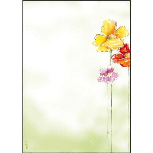 sigel Papier à motif, A4, 90 g/m2, motif 'Spring Flowers'