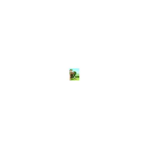 Sylvanian Families - 5450 - La nouvelle cabane dans les arbres sur King