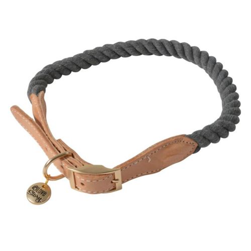 Comparer les prix de Collier Pour Chien Réglable City 43cm Anthracite