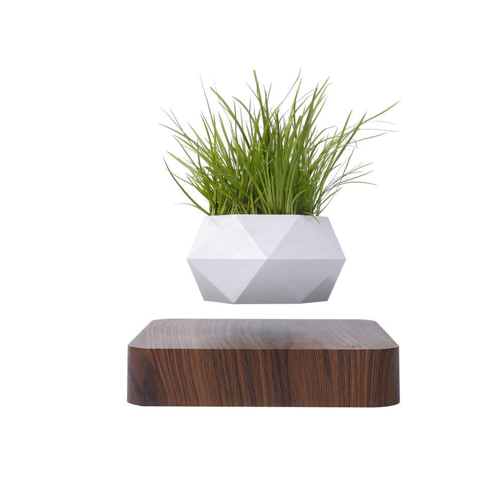 Mini-jardin en lévitation WHITE DREAM BABYLONIA MAGNETICLAND