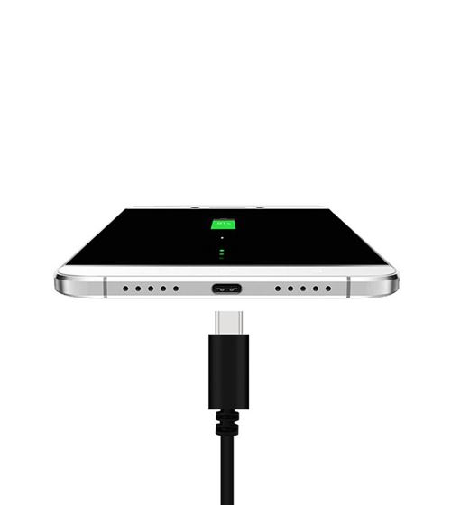 Cable Chargeur Prise Type C pour Nintendo Switch Smartphone Secteur Courant AC (NOIR)