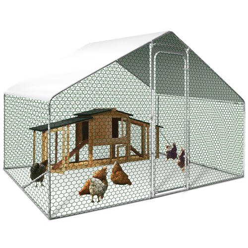 Enclos poulailler 6 m² parc grillagé 3X2m acier galvanisé
