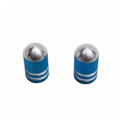 Bouchon de valve vicma obus rainure bleu (paire)