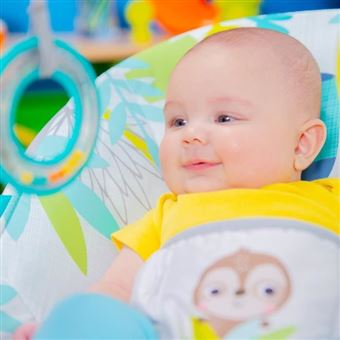 Bright Starts Transat Bebe Vibrant Rainforest Vibes Transats Pour Bebe Achat Prix Fnac