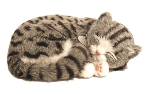 Perfect Petzzz 4930 Peluche Chat Tigre Gris Peluche Autre Achat Prix Fnac Perfect Petzzz 4930 Peluche Chat Tigre Gris Peluche Autre Achat Prix Fnac