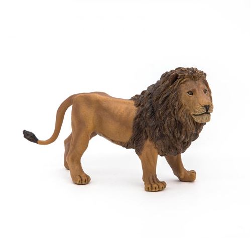 PAPO - Lion