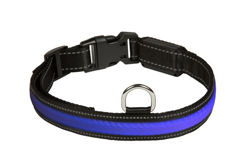 Collier lumineux bleu pour chien EYENIMAL - Taille XL
