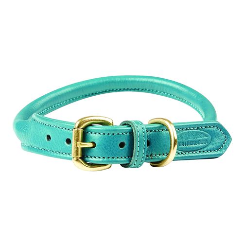 Meilleurs prix pour Weatherbeeta - Collier cuir - Chien (XL) (Bleu clair) - UTWB1256
