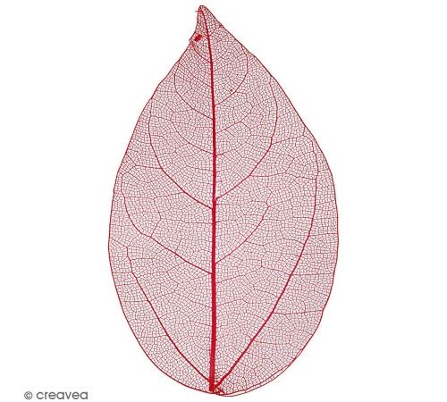 Feuilles squelettes - Rouge - 6-8 cm - 20 pcs