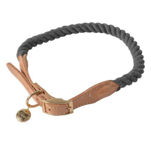 Meilleurs prix pour Collier Pour Chien Réglable City 62cm Anthracite