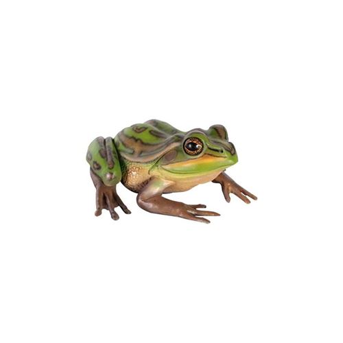 Texartes - Grenouille en résine 34 cm