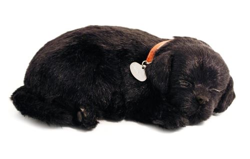 Perfect Petzzz - 4910 - Peluche - Chien Labrador - Noir