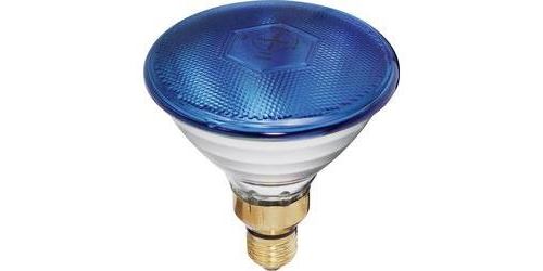 Ampoule halogène pour effet lumineux Par-38 FL blau 230 V E27 80 W bleu à intensité variable