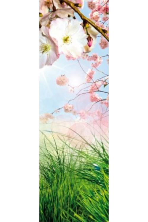 Printemps Papier Peint Photo/Poster Autocollant - Fleurs De Cerisier Et Ciel Bleu (250x79 cm)