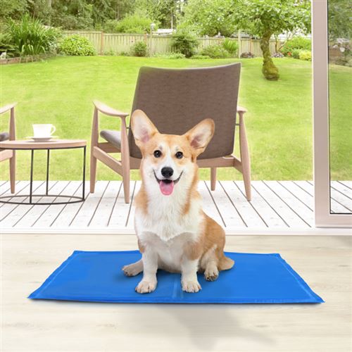 Tapis rafraîchissant 50x65 cm pour chiens et animaux de compagnie