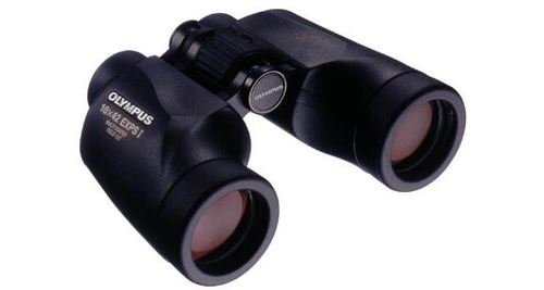 Olympus EXPS I - Jumelles 10 x 42 - Porro