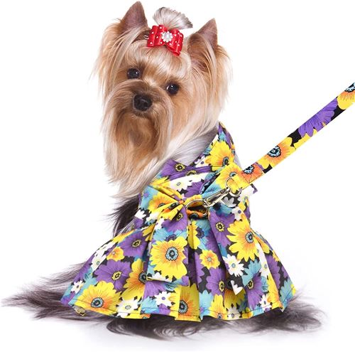 Chien Harnais Robe à Fleurs avec Laisse Ensemble FONGWAN Tenues d'été Animaux de Compagnie pour Chiot, M - Violet