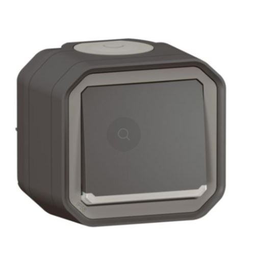 Non Communiqué Anthracite Legrand - Poussoir Lumineux Étanche Plexo 10A