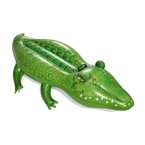 Crocodile gonfl 168x89cm pack fournisseur