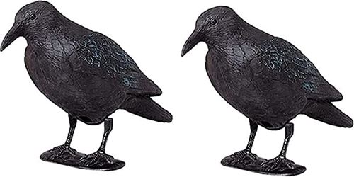 Lot de 2 Corbeaux factices ARTECSIS - Corbeau Anti-Pigeon - Leurre de jardin - Corbeau en Plastique Noir -Répulsif oiseaux, Appelant Chasse - Taille r