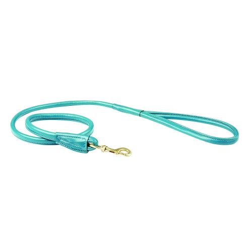 Meilleurs prix pour Weatherbeeta - Laisse de chien (Taille unique) (Bleu sarcelle) - UTWB1257