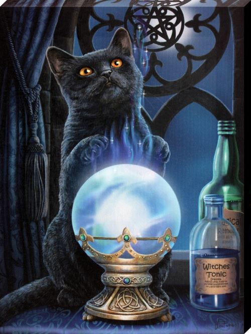 Imprimée Lisa Parker The Witches Apprentice 19 x 25 cm