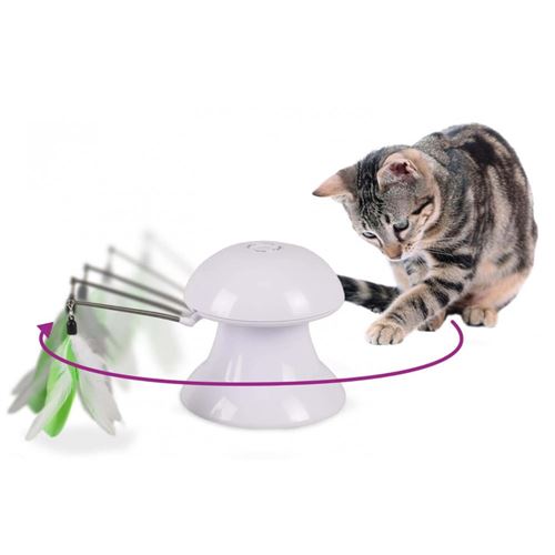 Jouet 2 en 1 avec plume et pointeur lumineux pour chat.