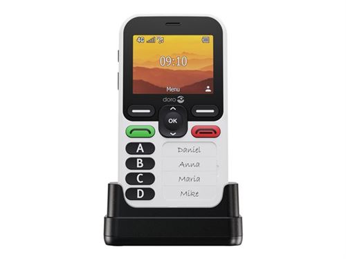 Doro Leva X10 - 4G Téléphone De Service - Ram 64 Mo / Mémoire Interne 128 Mo - Microsd Slot - 320 X 240 Pixels (60 Hz) - Blanc Et Noir