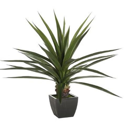 Plante grasse en pot h. 130 cm instinct naturel - atmosphera
