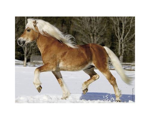 Puzzle 100 pièces Nathan Trot dans la neige