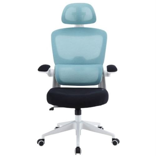 Woxter Ergo Chaise de Bureau Ergonomique Bleu