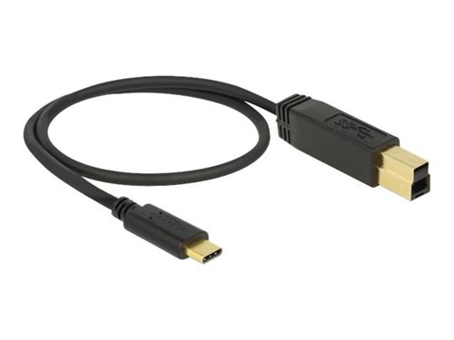 Delock - Câble USB - USB-C (M) pour USB Type B (M) - USB 3.1 Gen 2 - 3 A - 50 cm - noir