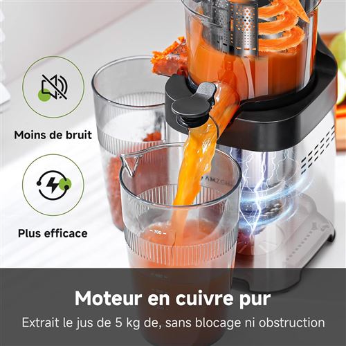 Extracteur De Jus à Froid Portable - 1500ml, 2 Vitesses - Silencieux, Rendement 96% - Pour Fruits Et Légumes Entiers - 4