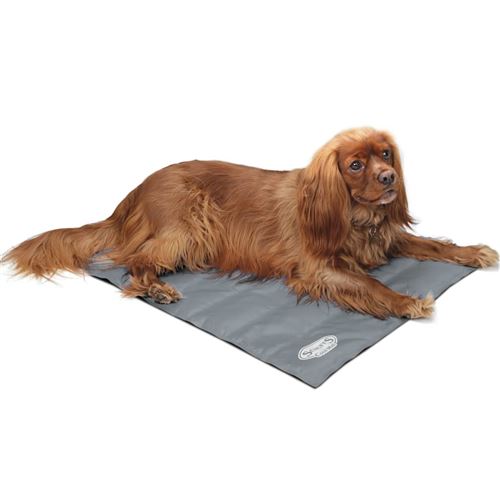 Comparer les prix de Scruffs & Tramps Tapis refroidissant pour chiens Gris Taille M 2717