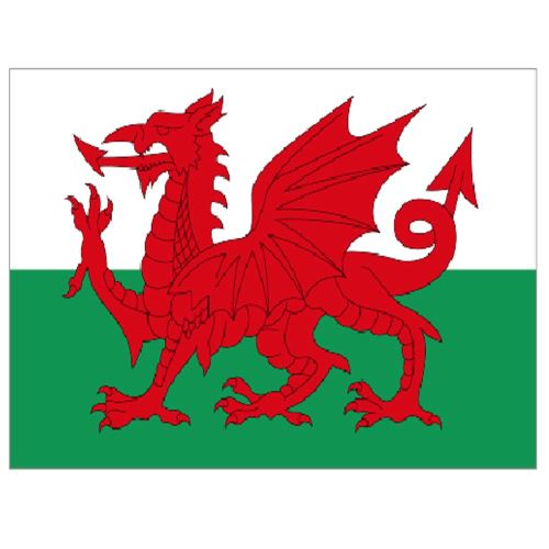 Supportershop-Drapeau Pays de Galles polyester avec 2 œillets metalliques - 150 x 90 cm