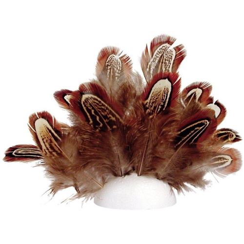 80 Plumes de faisan