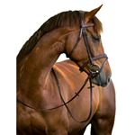 Kerbl Bridon pour poneys Classic Cuir Marron 324911