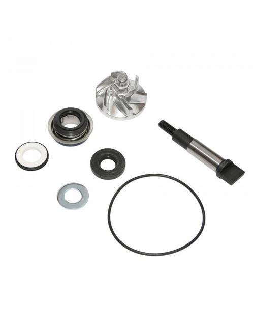 Kit reparation pompe a eau maxiscooter adaptable honda 300 sh 2007+ (kit) -p2r-