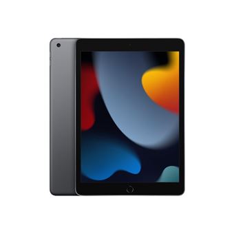 Apple iPad 10,2" Puce A13 Bionic 256 Go Gris sidéral Wifi 9ème génération 2021