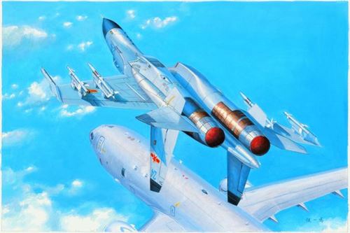 Hobby Boss Maquette Avion : Avion De Chasse Chinois Pla J-11B - Image 3