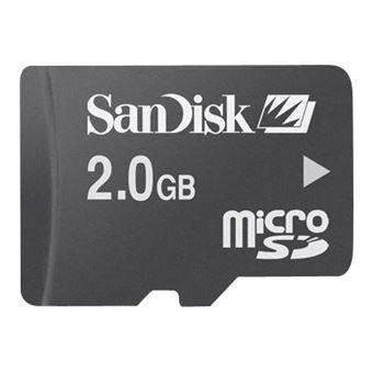 SanDisk carte Micro SD Go