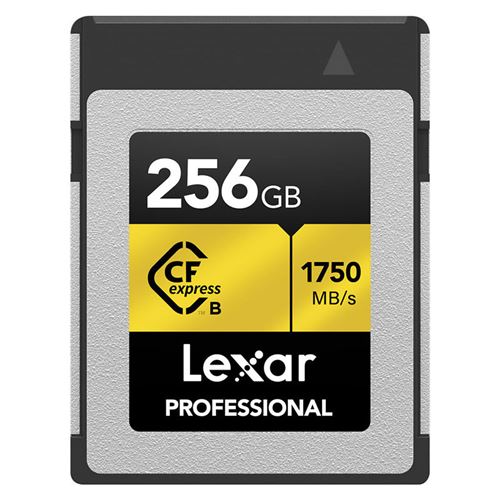 Carte CF EXPRESS professional 256 GO Type B