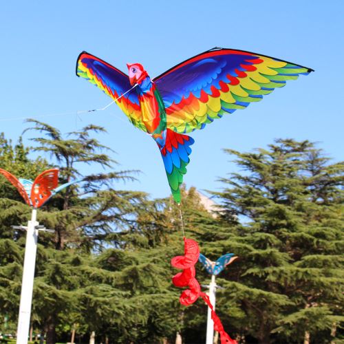 Generic - 3D dragon Cerf-volant Enfants Toy Fun activité de plein vol jeu  enfants avec la queue - Poupées - Rue du Commerce